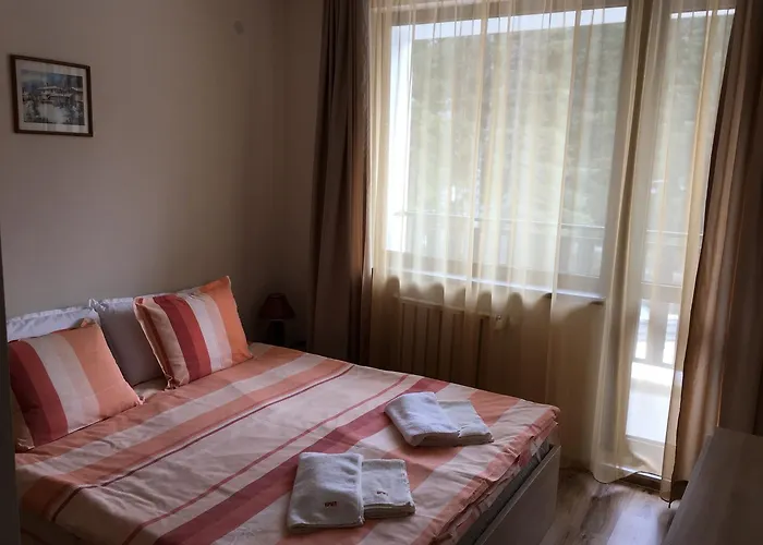 Gardens C35 Μπόροβετς