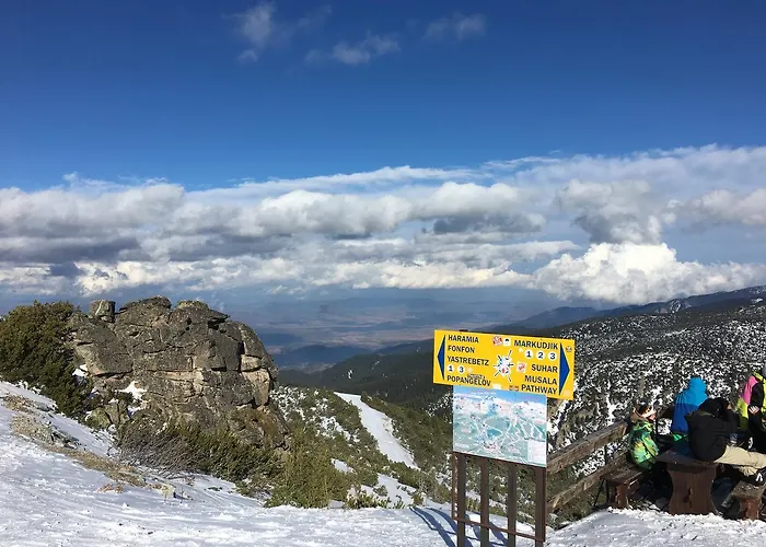 Gardens C35 Μπόροβετς